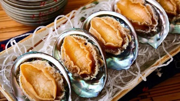 TOP 7 địa chỉ mua bào ngư tại Hà Nội