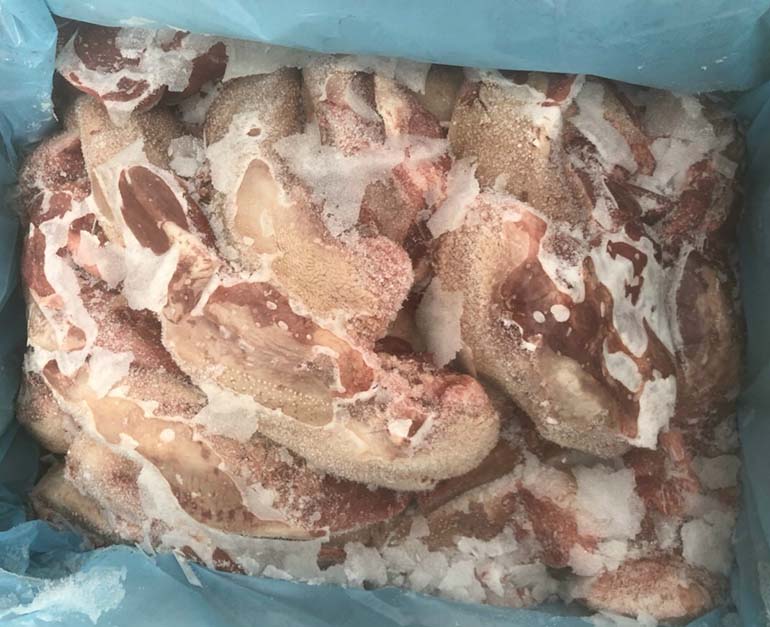 Lưỡi heo đông lạnh nhập khẩu Bỉ - Thực Phẩm Vifoods