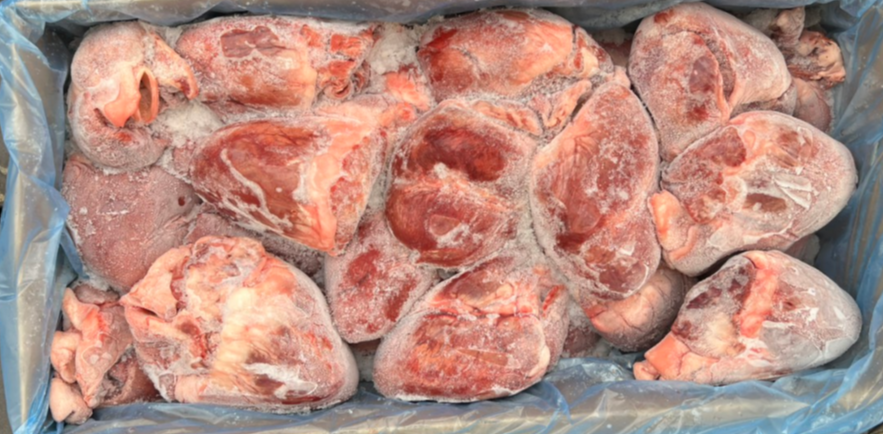 TIM HEO ĐÔNG LẠNH