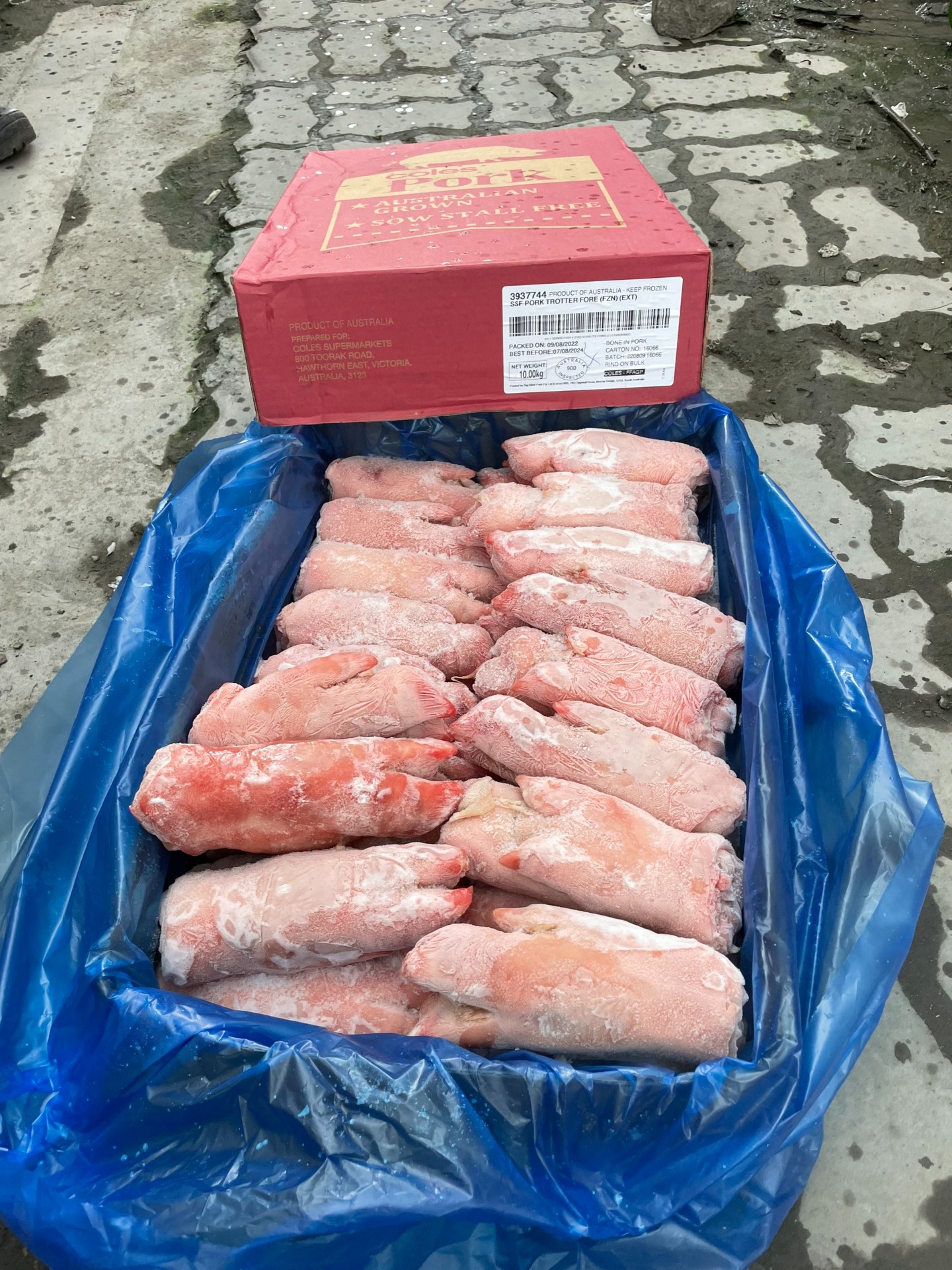 DỰNG TRƯỚC ĐÔNG LẠNH